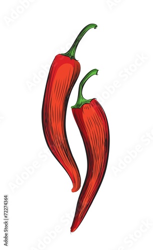 Pepper, vector illustration