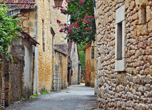 Il villaggio di Saint Leonce sur Vezere, Dordogna - Aquitania photo