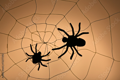 Spider on web. Halloween decoration concept