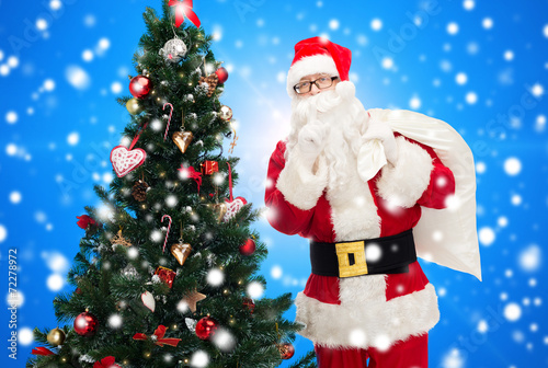santa claus with bag and christmas tree © Syda Productions