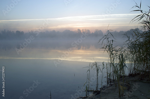 Fototapeta Naklejka Na Ścianę i Meble -  Foggy morning landscape in the autumn park near the lake. Vintag