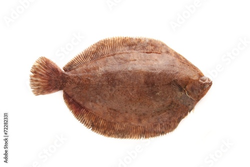 Fotomurale plaice fish isolated on white background