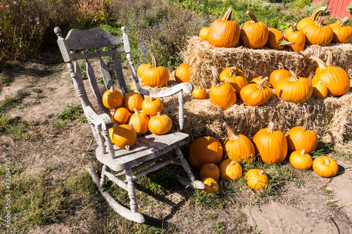 Pumpkin Patch and rocking chair photo