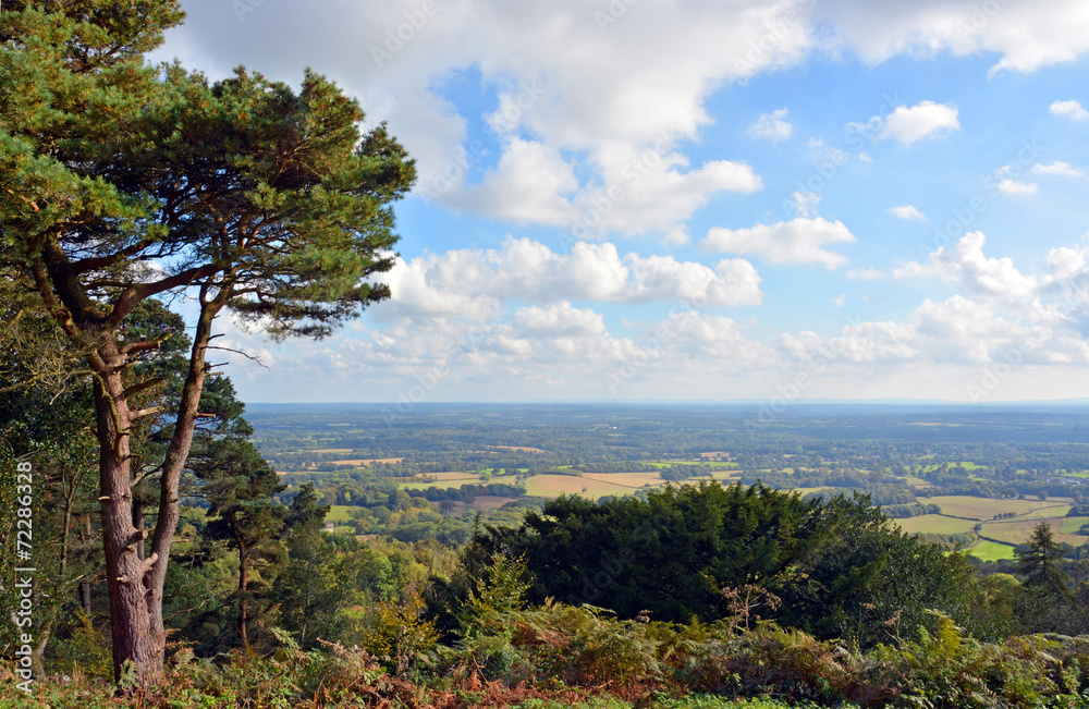 View from Leith Hill across the South Downs to Brighton, UK.