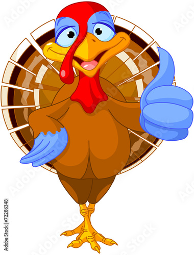 Cute turkey