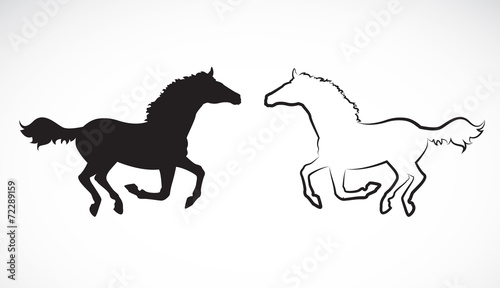 Vector image of an horse