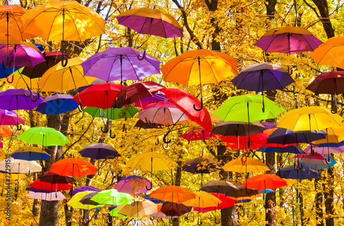 autumn umbrellas in the sky