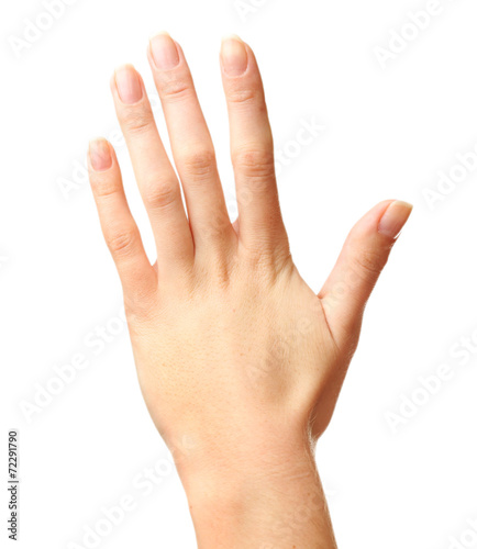 Human hand isolated on white