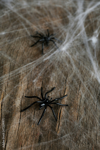 Cobweb with spiders on wooden background © Africa Studio