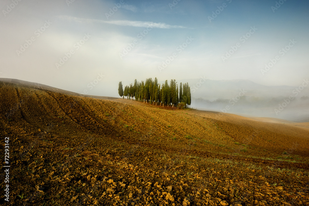 Fototapeta premium Toscania, Włochy, Krajobraz wiejski