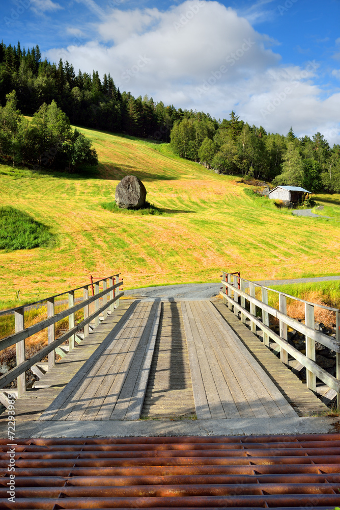 Fototapeta premium Norwegia , mostek z zabezpieczeniem przeciw przechodzeniu bydła