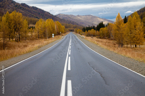 road among the Altai Mountains. autumn