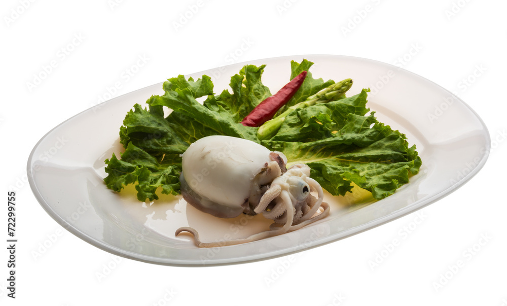 Boiled cuttlefish Boiled cuttlefish