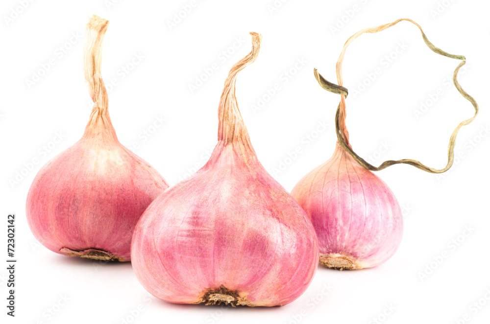 Obraz premium Fresh shallot