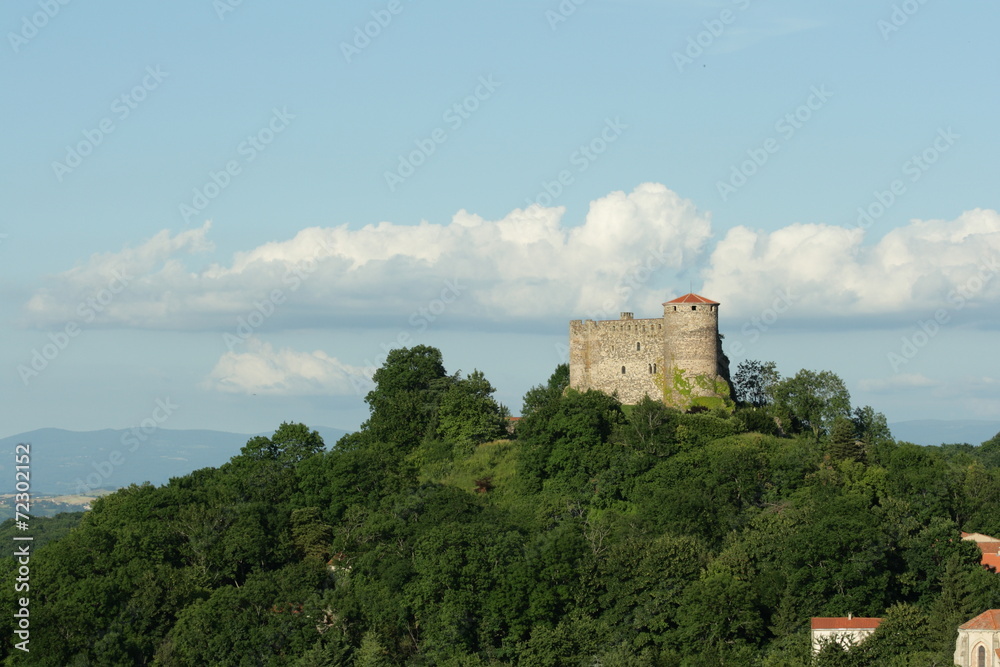 Château dans le massif central,France