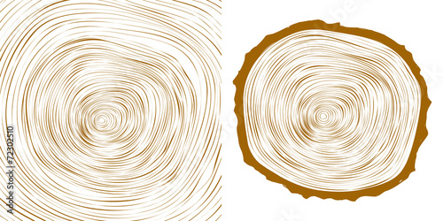 vector tree rings background and saw cut tree trunk