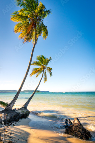 Las Galeras tropical beach in sunset, Dominican Republic