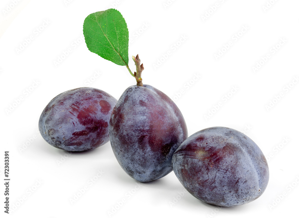 Group of plums with leaf isolated on a white background