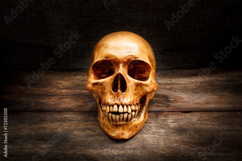 Still life with a skull human.