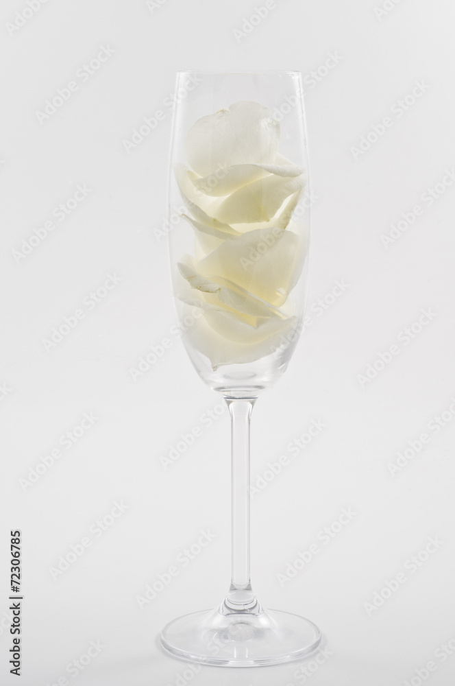 Champagne glass with white rose petals