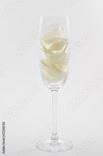 Champagne glass with white rose petals