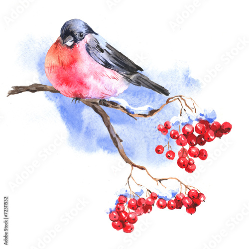 Leinwand Poster Winter Watercolor background with bullfinches