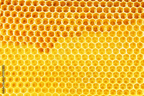natural honey in honeycomb background