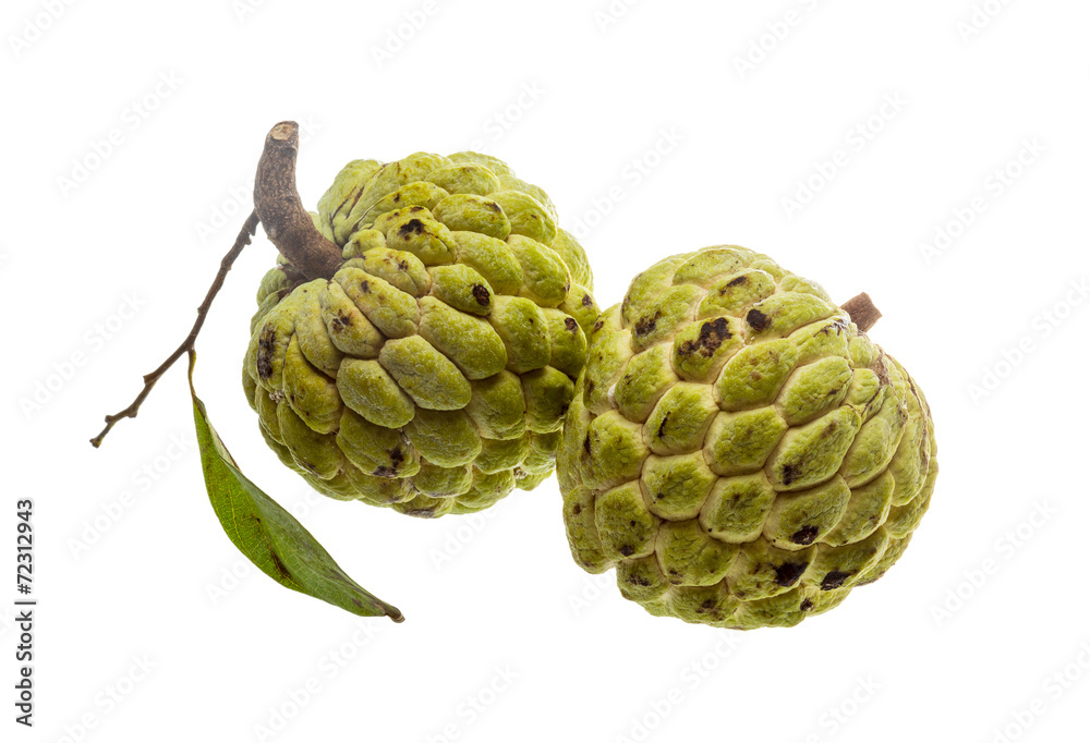Fototapeta premium Noni fruit