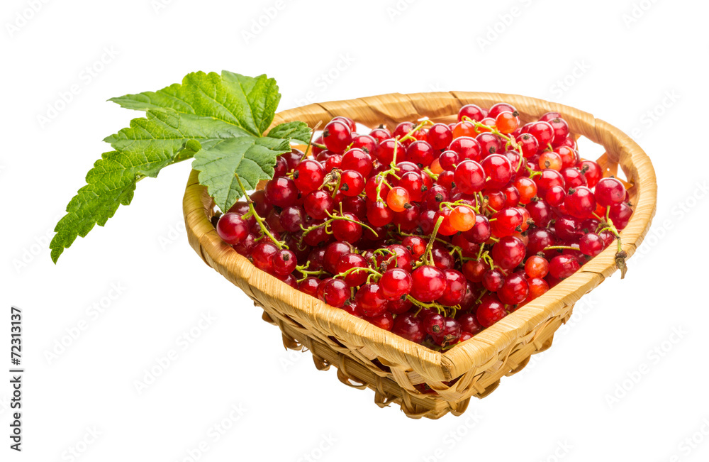 Red currant Red currant