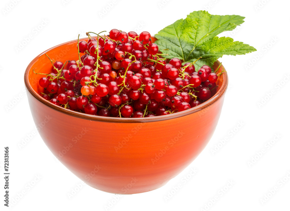 Red currant Red currant