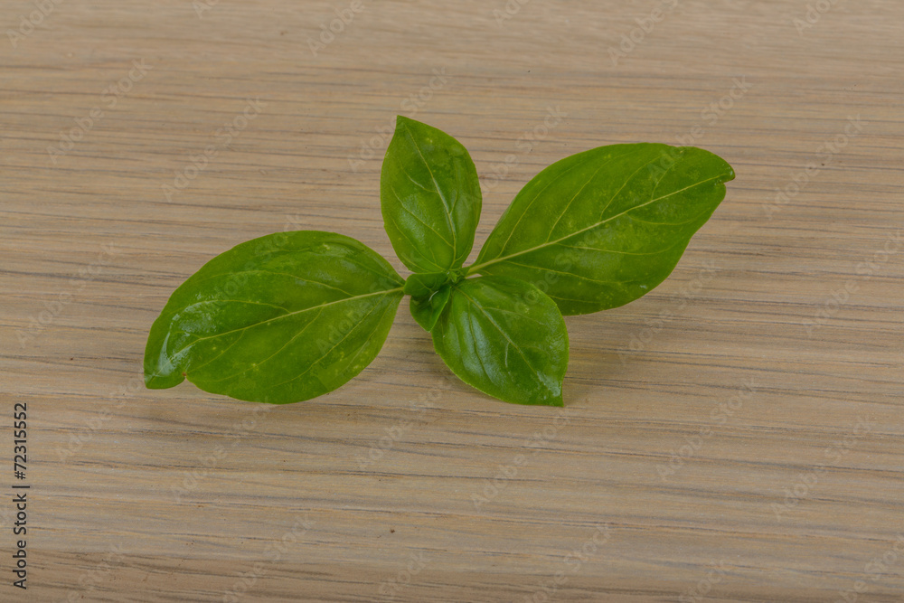 Basil leaves Basil leaves