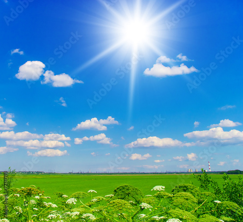Summer Wallpaper Field Landscape