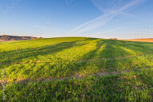 Green field landscape