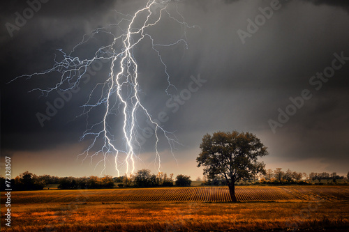 Lightning over field