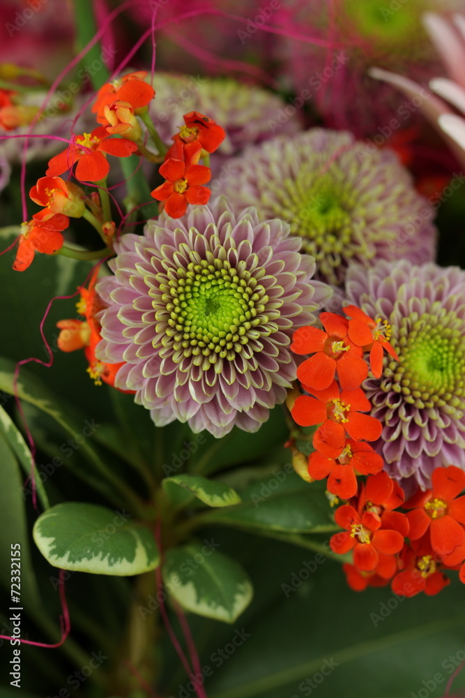 Bouquet de fleurs Bouquet de fleurs