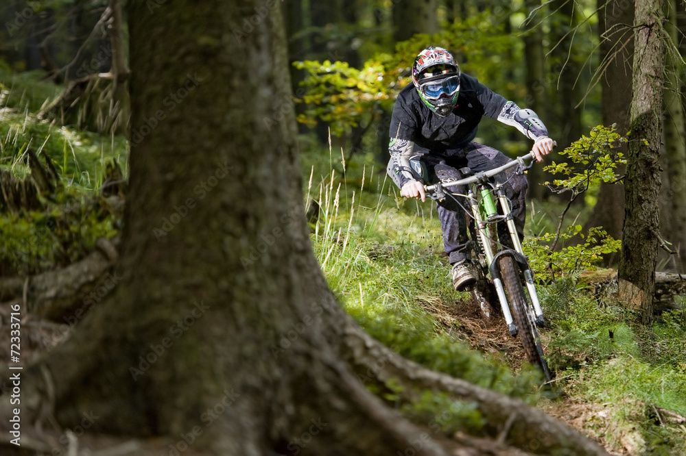 Naklejka premium Mountainbiker in the forest