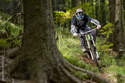 Mountainbiker in the forest photo