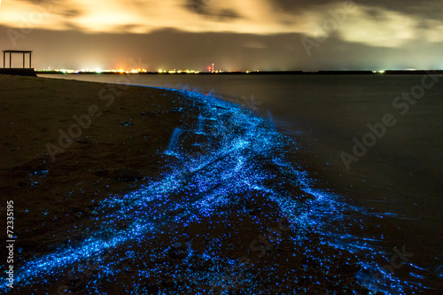 Bio luminescence. Night beach scene in Maldives with bio luminescent plankton illuminating the waterline. photo