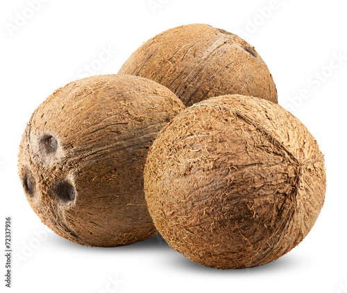 coconut