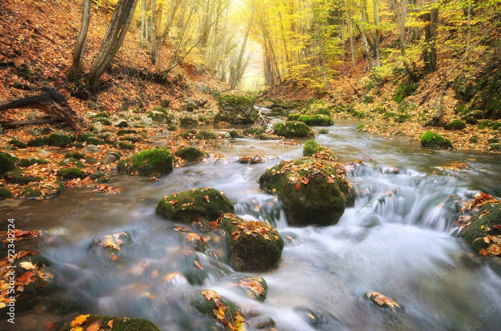 Autumn landscape.