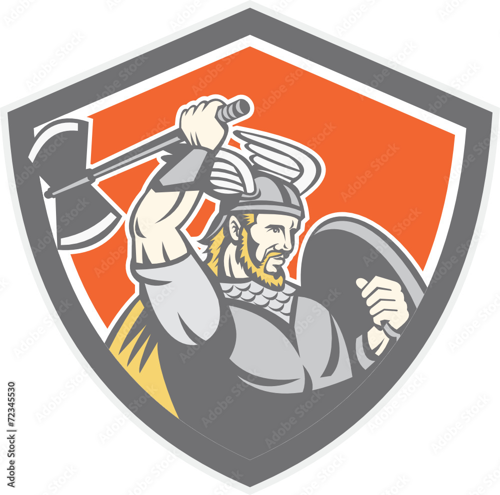 Viking Raider Barbarian Warrior Axe Shield