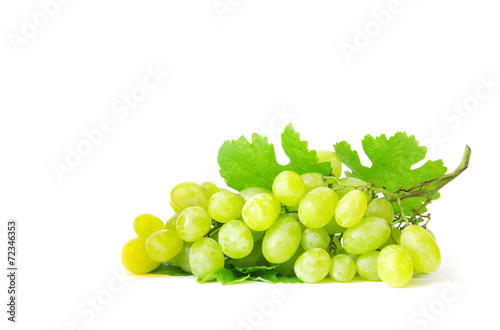  grape