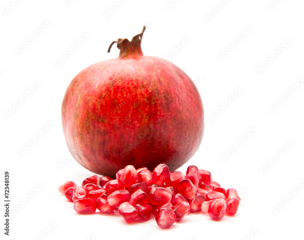 pomegranate pomegranate
