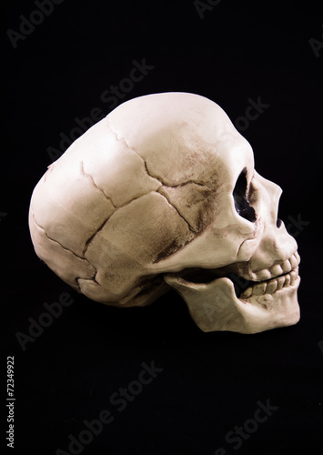 Skull Halloween