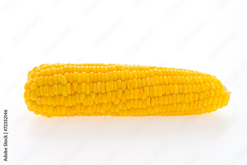 Corn isolated on white background Corn isolated on white background