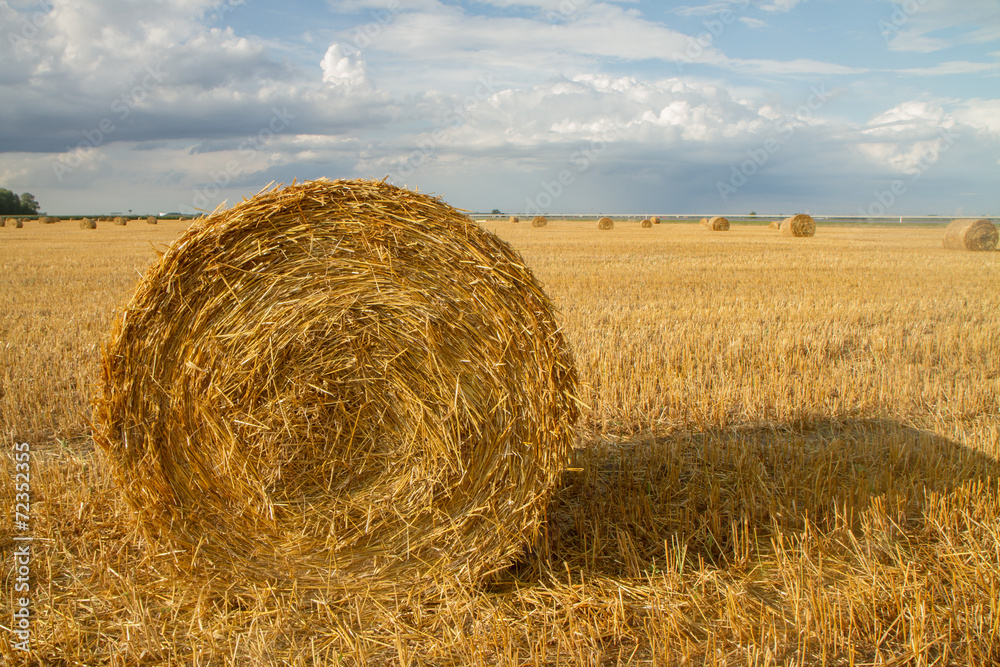 haystack after harvest