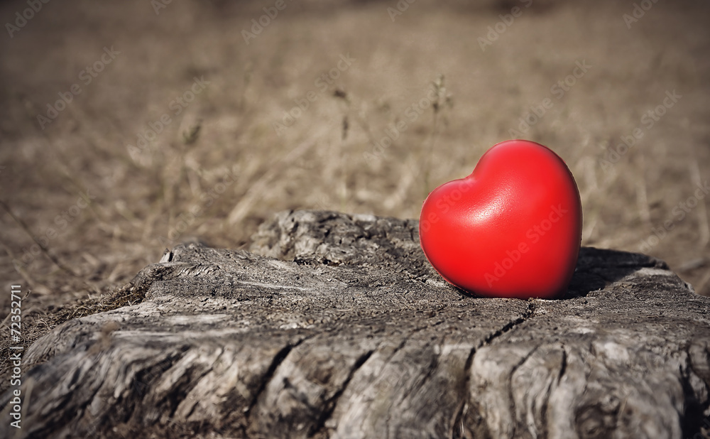 Fototapeta premium Vintage photo of a heart shape on tree trunk