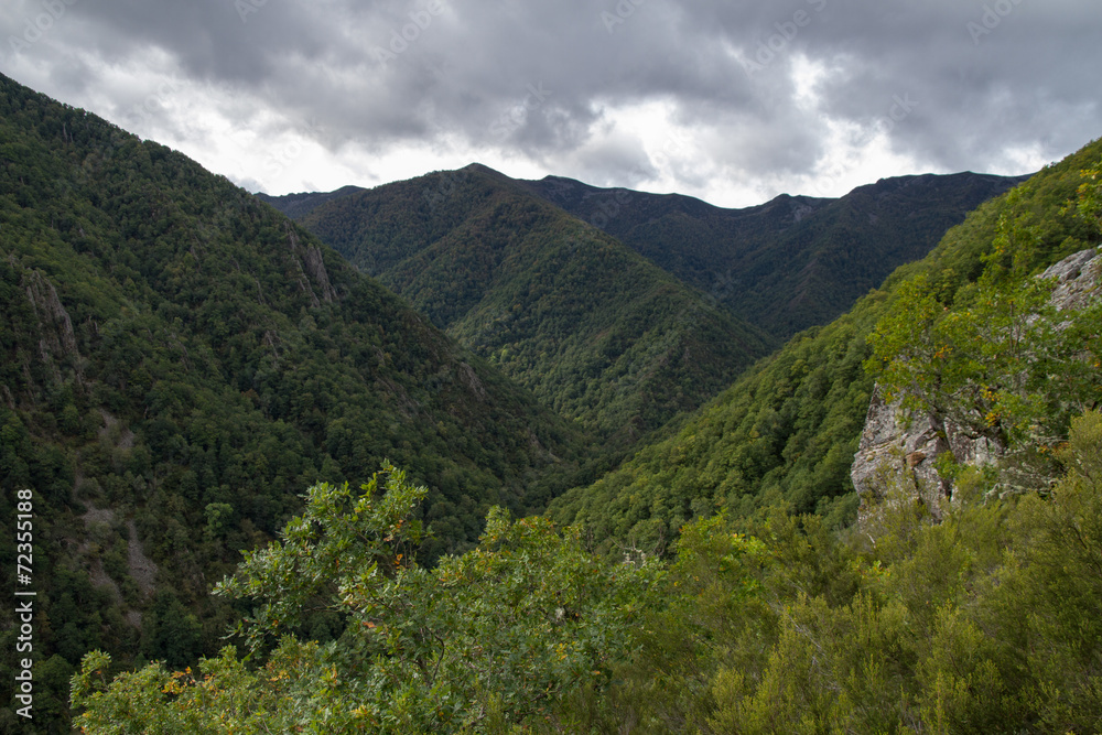 Reserva Natural Integral Muniellos, Asturias.