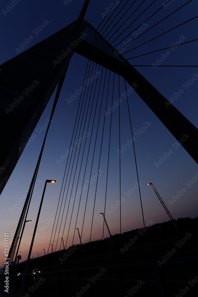 Obraz premium Megyeri bridge - Hungary
