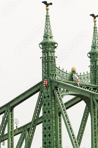 Historic bridge in Budapest